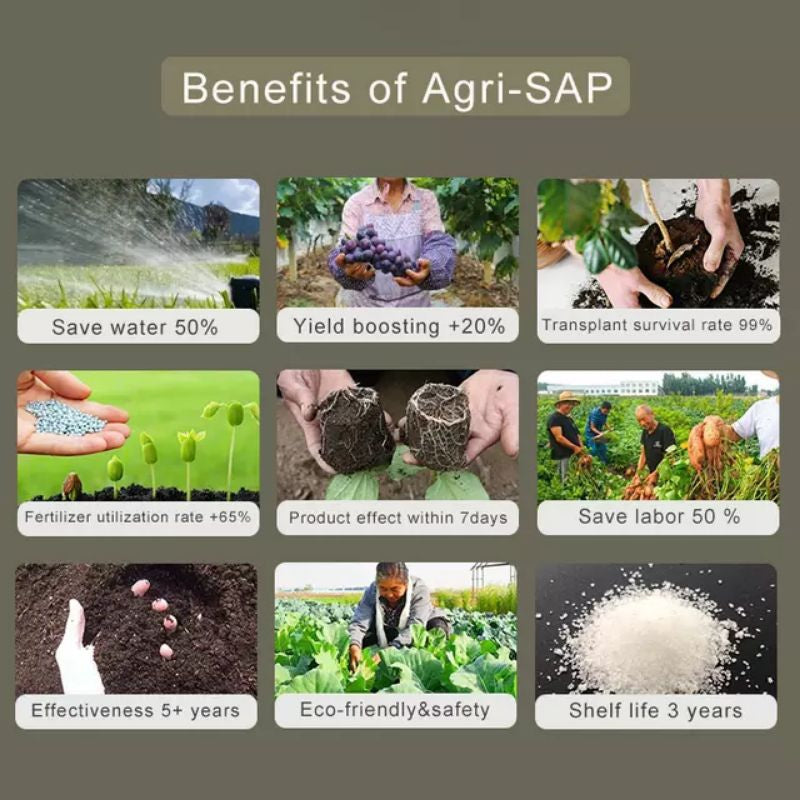 1kg High Quality Super Absorbent Polymer Agricultural SAP AGRI-SAP Sodium Polyacrylate